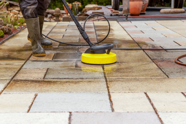 Best Driveway Pressure Washing  in Polk City, FL